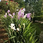 La Terrazza Sul Monferrato Apartmán *