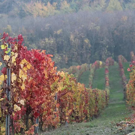 La Terrazza Sul Monferrato Ozzano Monferrato