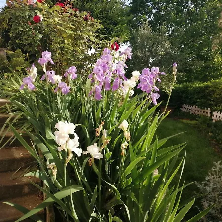 La Terrazza Sul Monferrato Appartement *