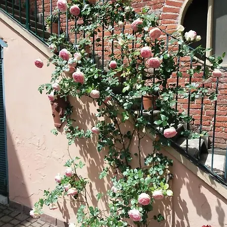 La Terrazza Sul Monferrato