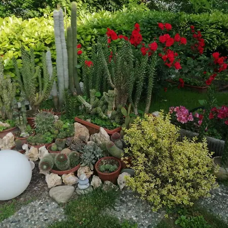 Appartement La Terrazza Sul Monferrato