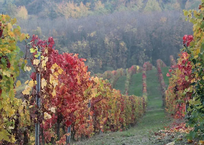 La Terrazza Sul Monferrato Ozzano Monferrato