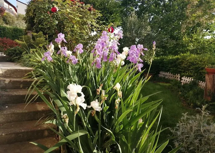 La Terrazza Sul Monferrato Apartamento *