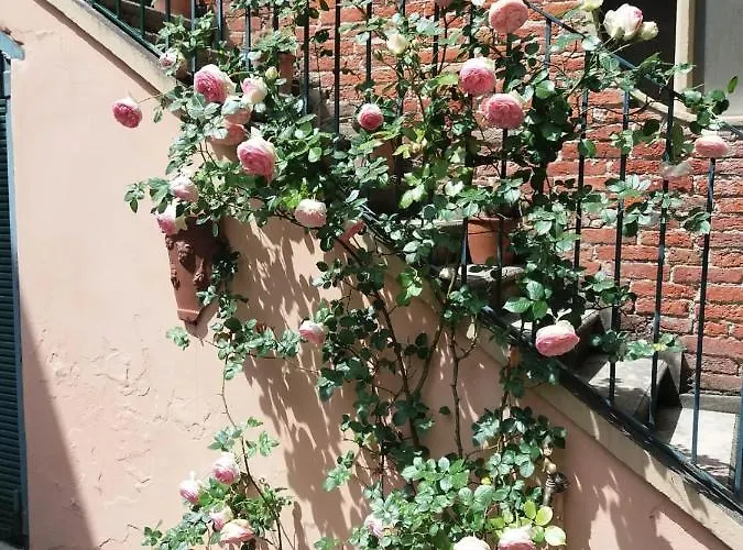 La Terrazza Sul Monferrato